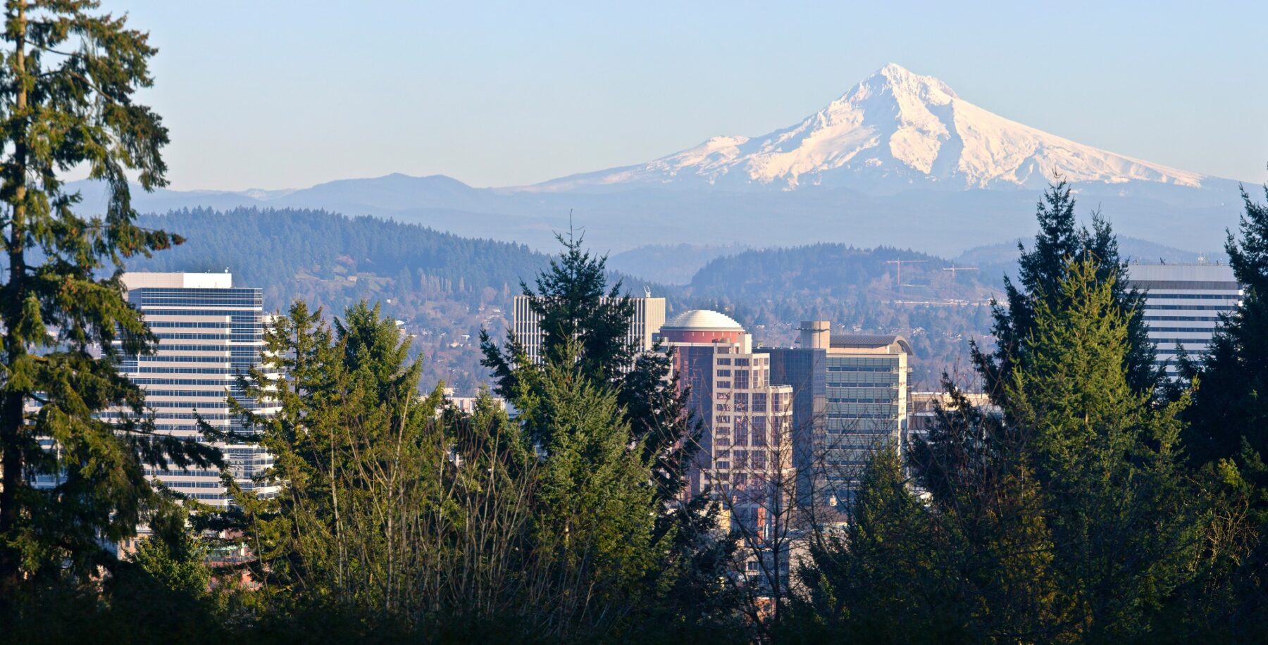 city skyline with snowy mountain in the distance